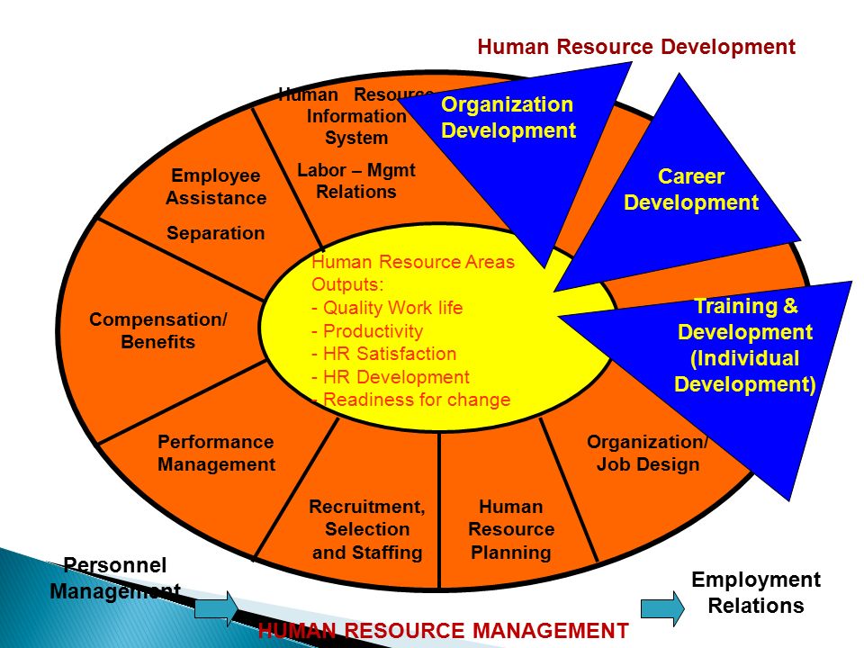Human Resource Management Bachelor\'s Degree
